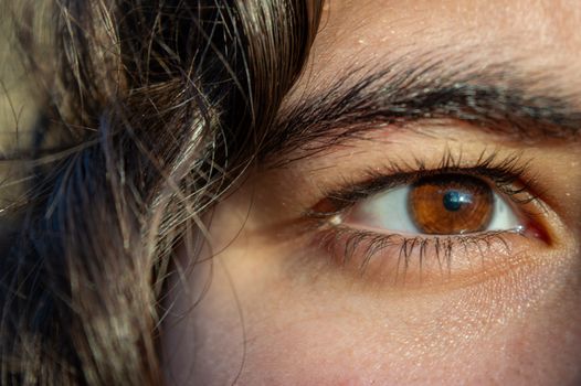 A detailed close-up of a person's eye with rich brown iris and natural eyelashes.