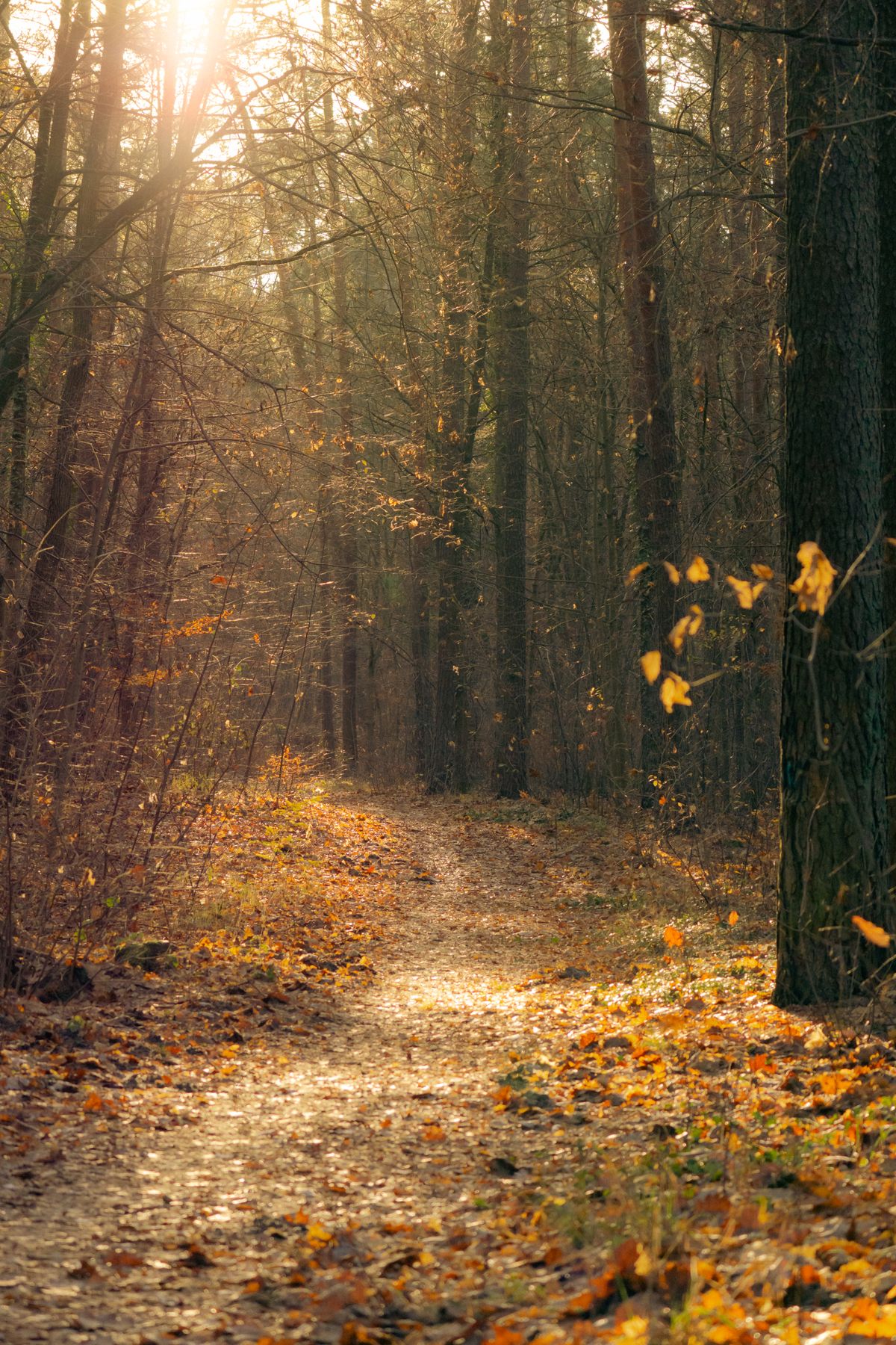 Autumn in Australia