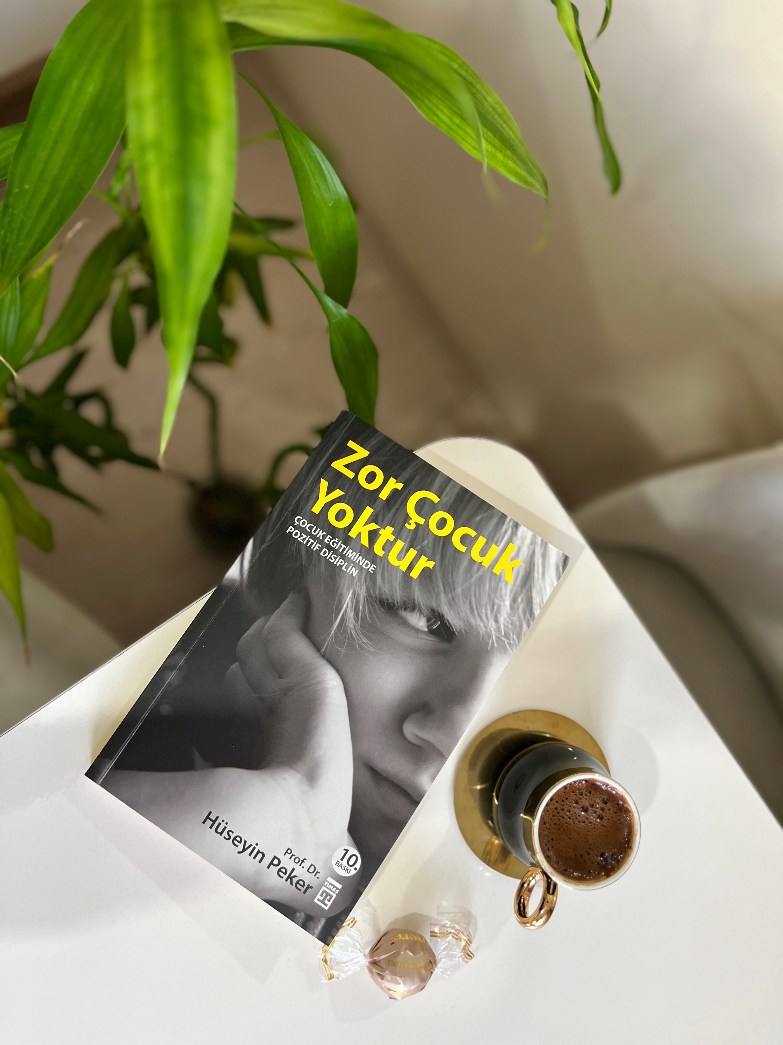 A cozy scene with a Turkish coffee and a book on a white table beside a green plant.