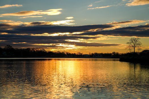 Stunning sunset reflecting on a calm lake with golden hues and a silhouetted tree.