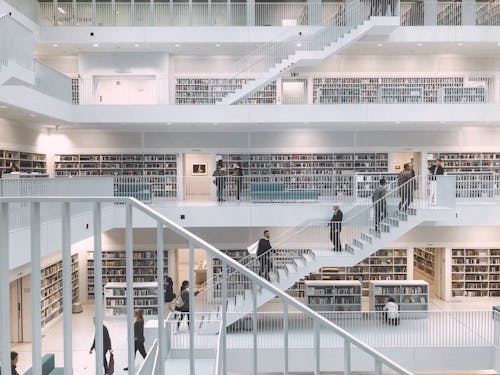 Free People Inside A Library Stock Photo