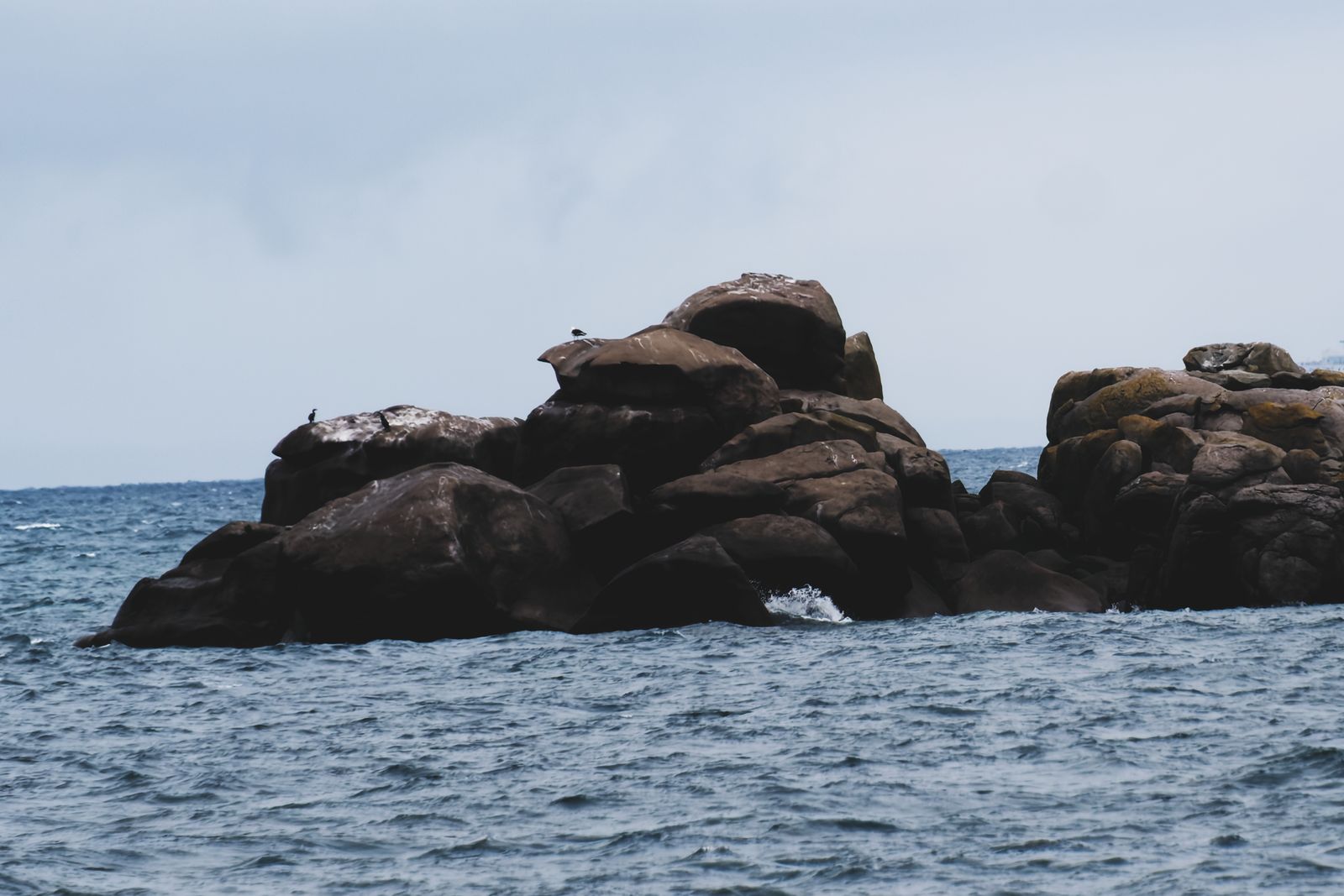 Rochers de granit sombre et cormorans perchés dans la mer agitée à Chausey