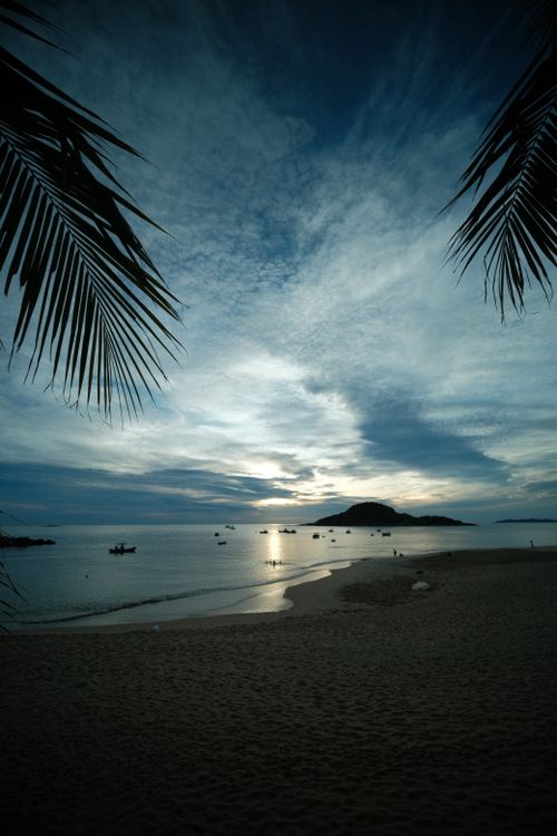 Free A tranquil beach scene at twilight, with silhouetted palm leaves framing a peaceful horizon. Stock Photo