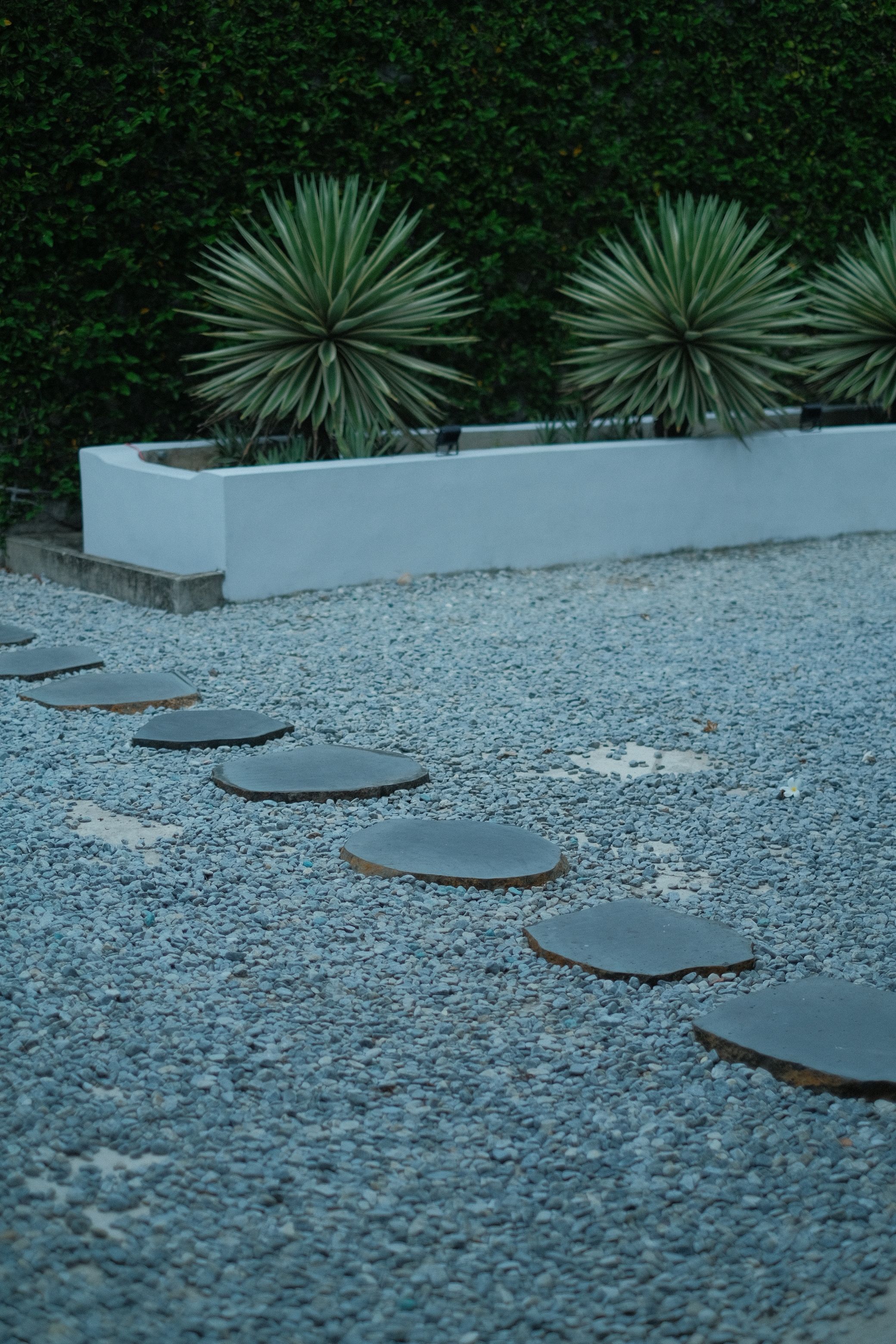 Low water desert garden with decorative gravel, agave, and succulents in Las Vegas