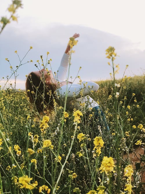 Free stock photo of dancing, field, flowers