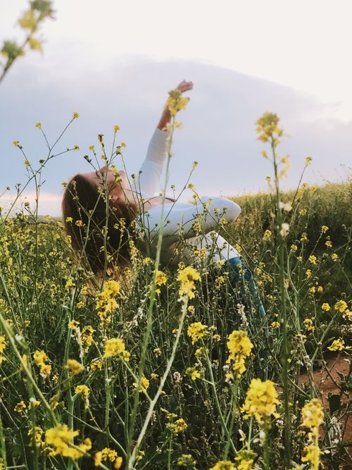 Free stock photo of dancing, field, flowers Stock Photo
