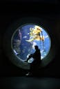 旧金山一个人透过水族馆的大窗户观看水下场景的迷人轮廓
