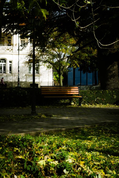 Free Tranquil park scene in Ohrid, North Macedonia featuring a sunlit bench amid lush greenery. Stock Photo