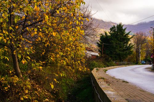 Free Picturesque autumn landscape with a winding road and colorful trees in Ohrid, North Macedonia. Stock Photo