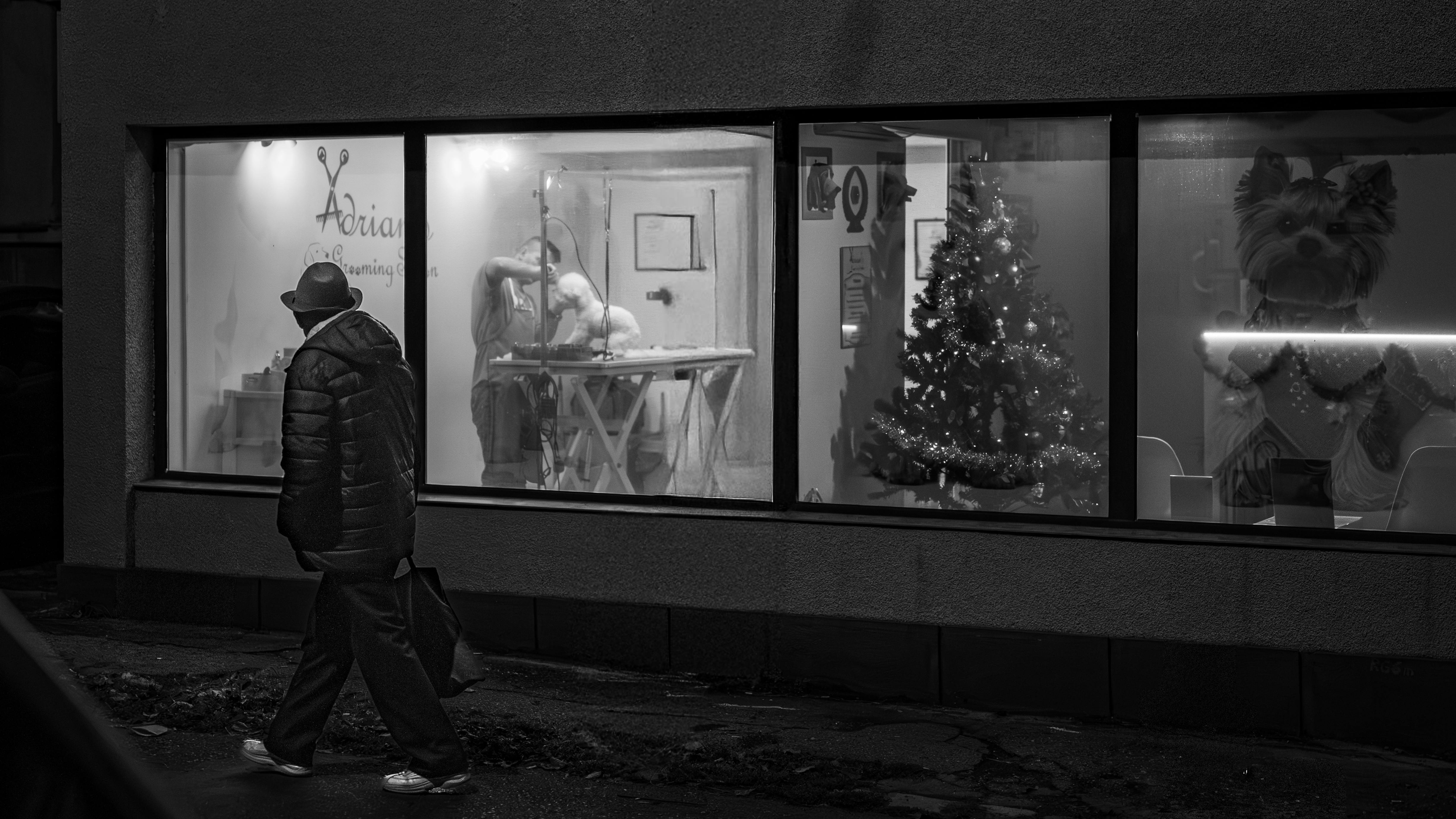 Monochrome street view of a pet grooming salon at night with a passerby.
