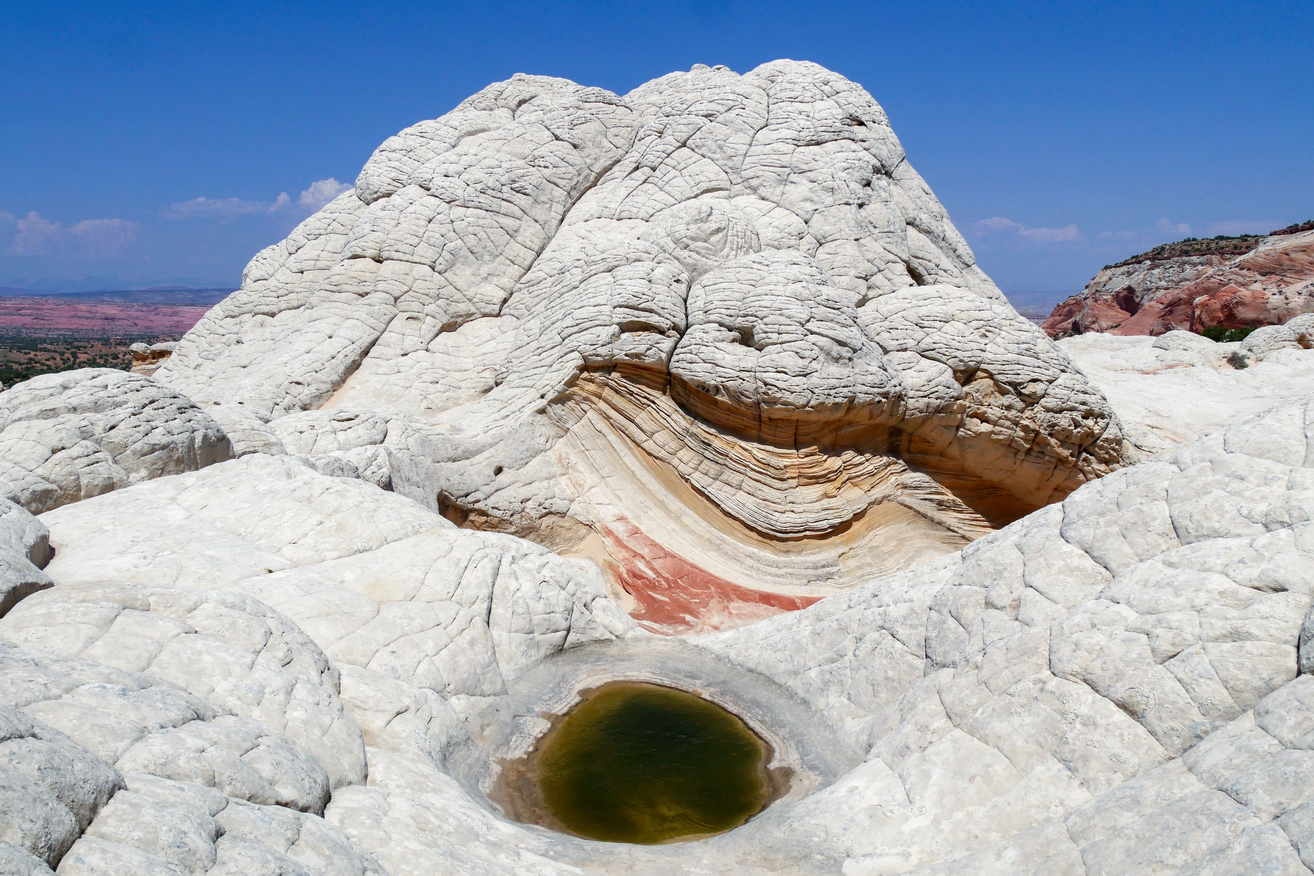 White Pocket's Unique Rock Formation · Free Stock Photo