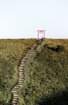 Scenic view of a hilltop Torii gate in Japan featuring lush green landscapes and stone steps.