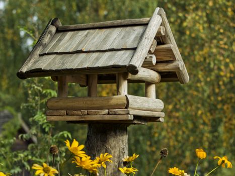 Charming rustic birdhouse in a garden with vibrant yellow flowers, perfect for nature lovers.