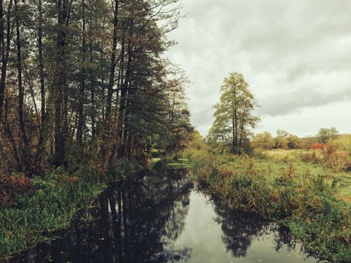 Free Tranquil autumn landscape with river and trees in Supraśl, Poland. Stock Photo