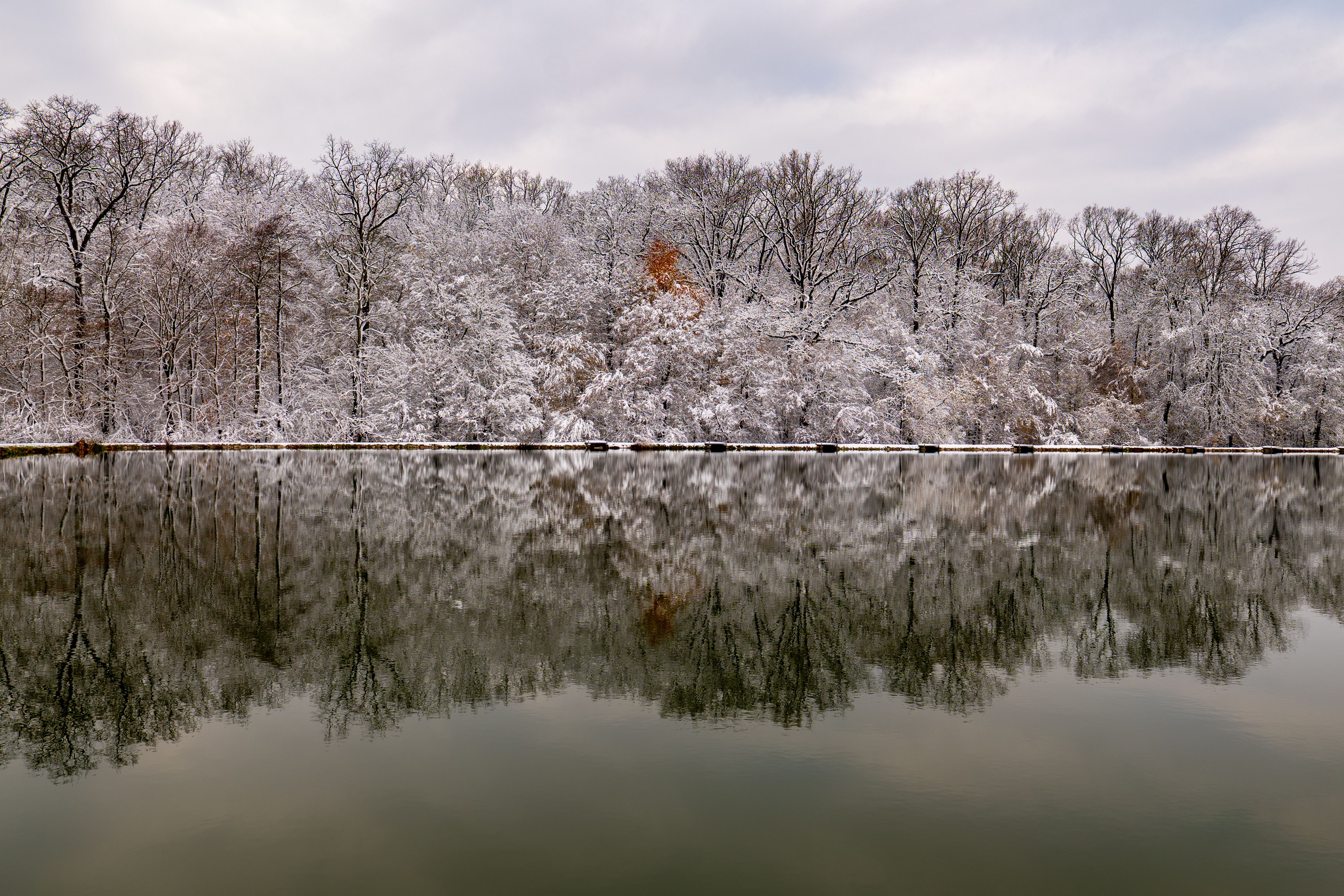 Serene Winter Landscape with Reflective Lake · Free Stock Photo