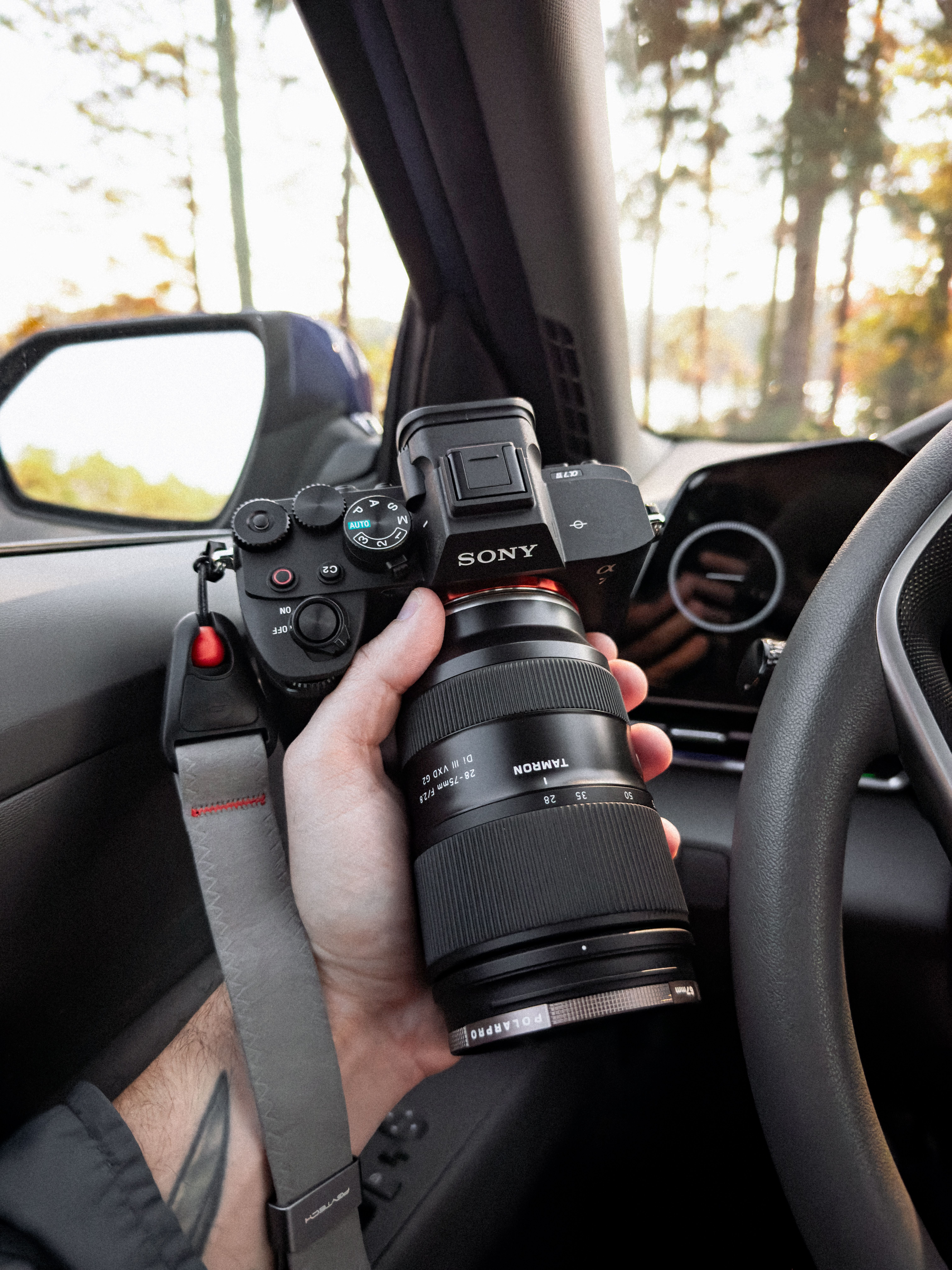 Hand Holding Camera Inside Car with Forest View · Free Stock Photo