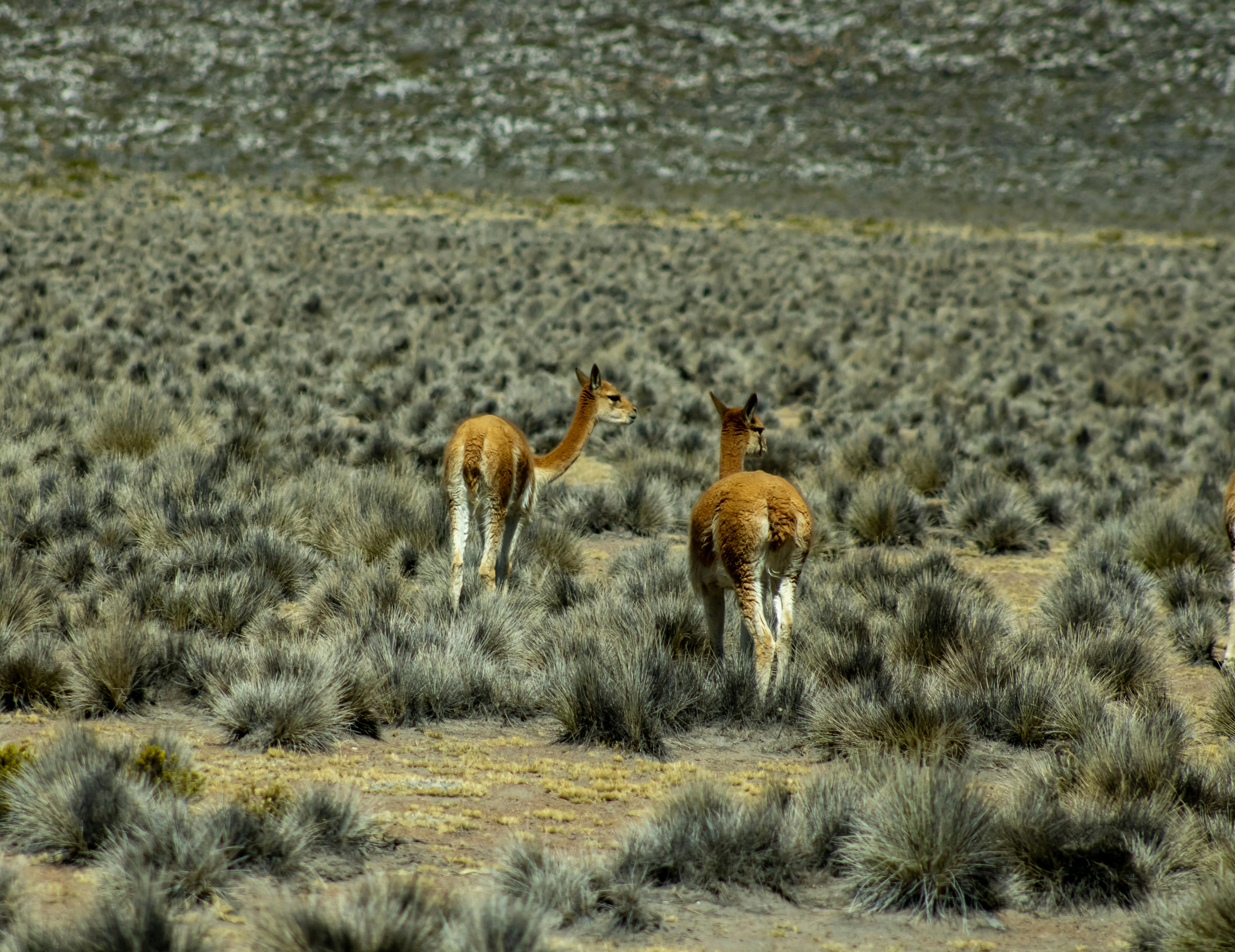 Image : Beyond the Buzz: Why Rigorous Strategy Builds Your Unforgettable Digital Presence