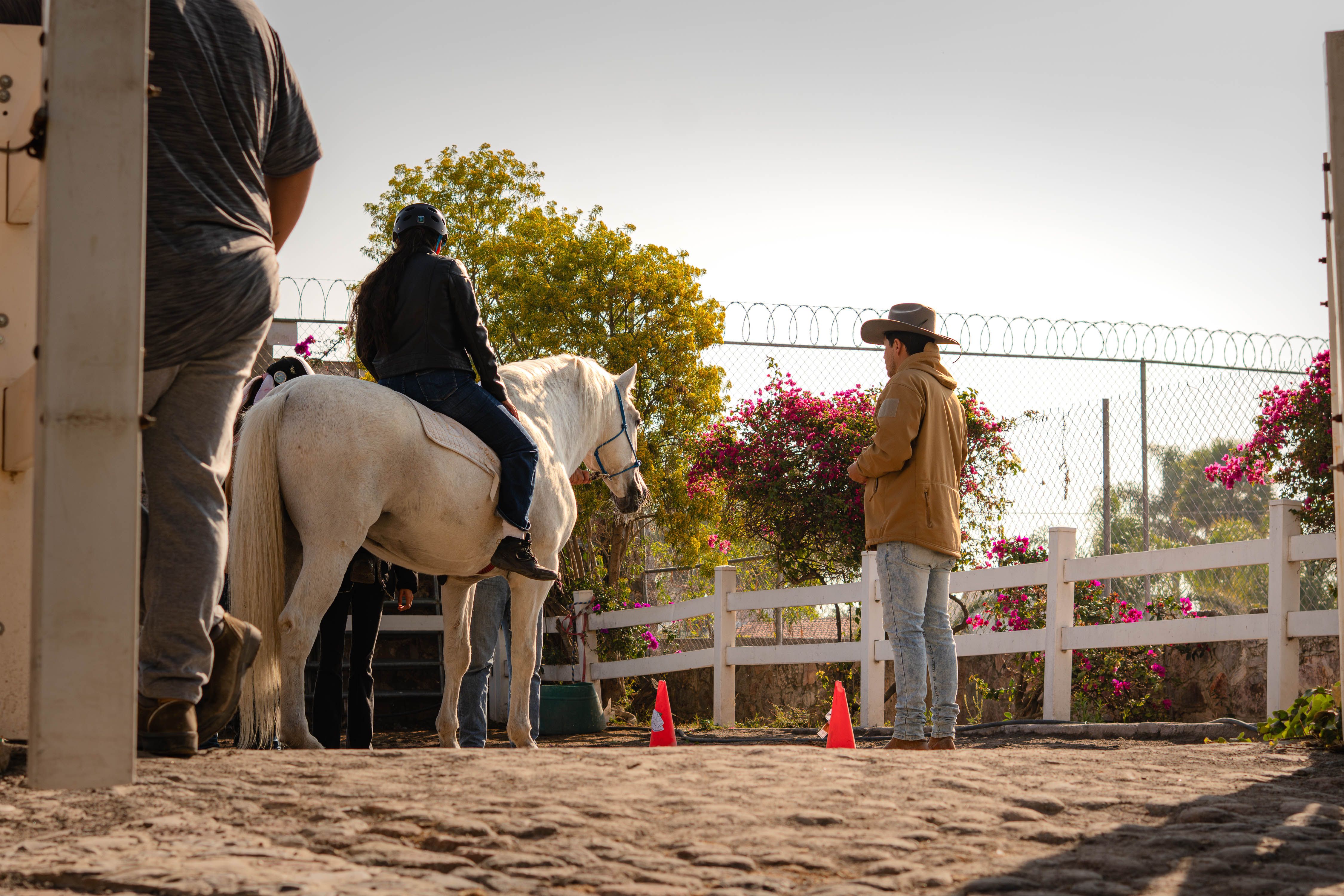 Equestrian Training at Outdoor Ranch · Free Stock Photo