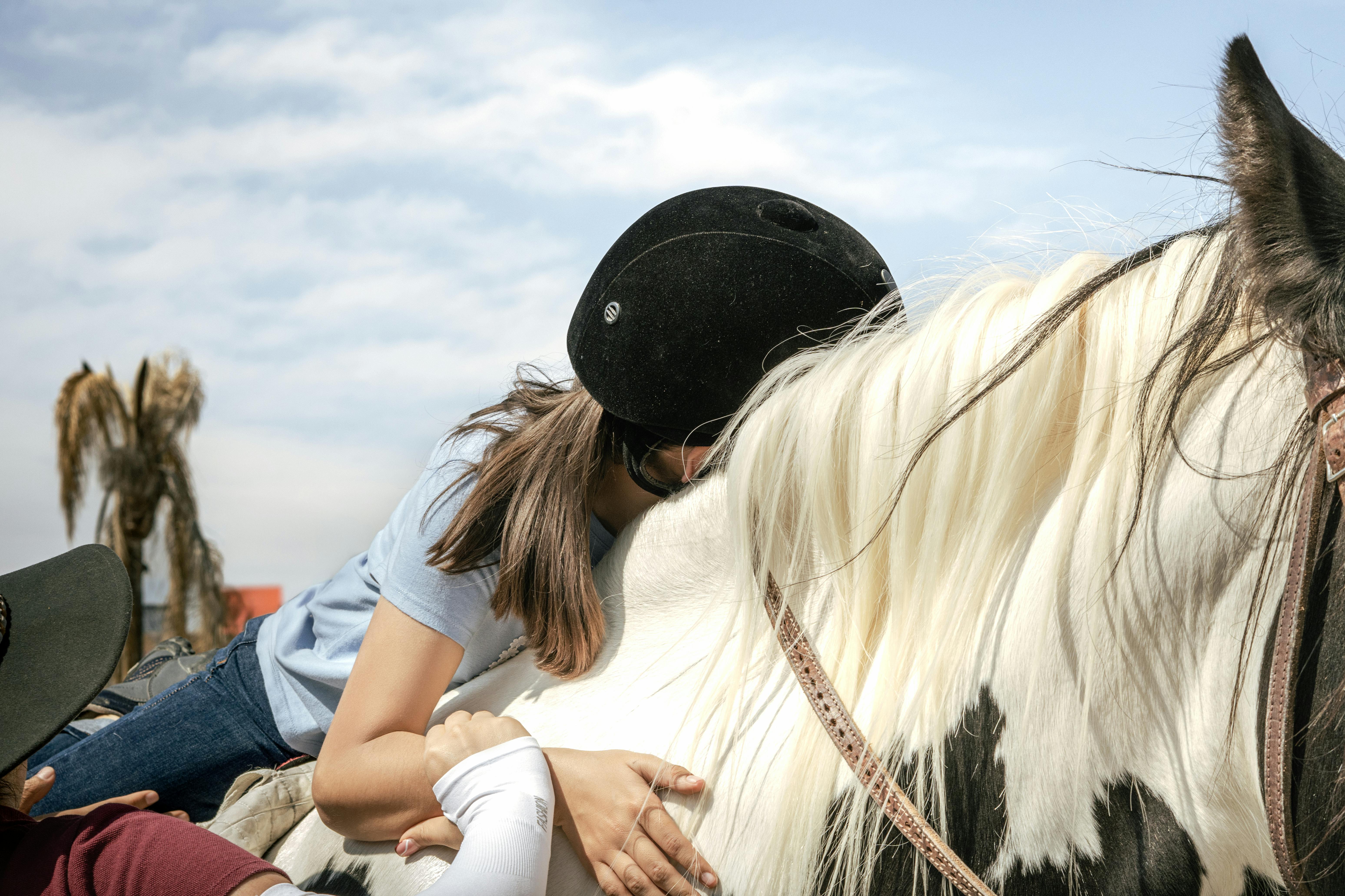 Horse and handler working calmly outdoors
