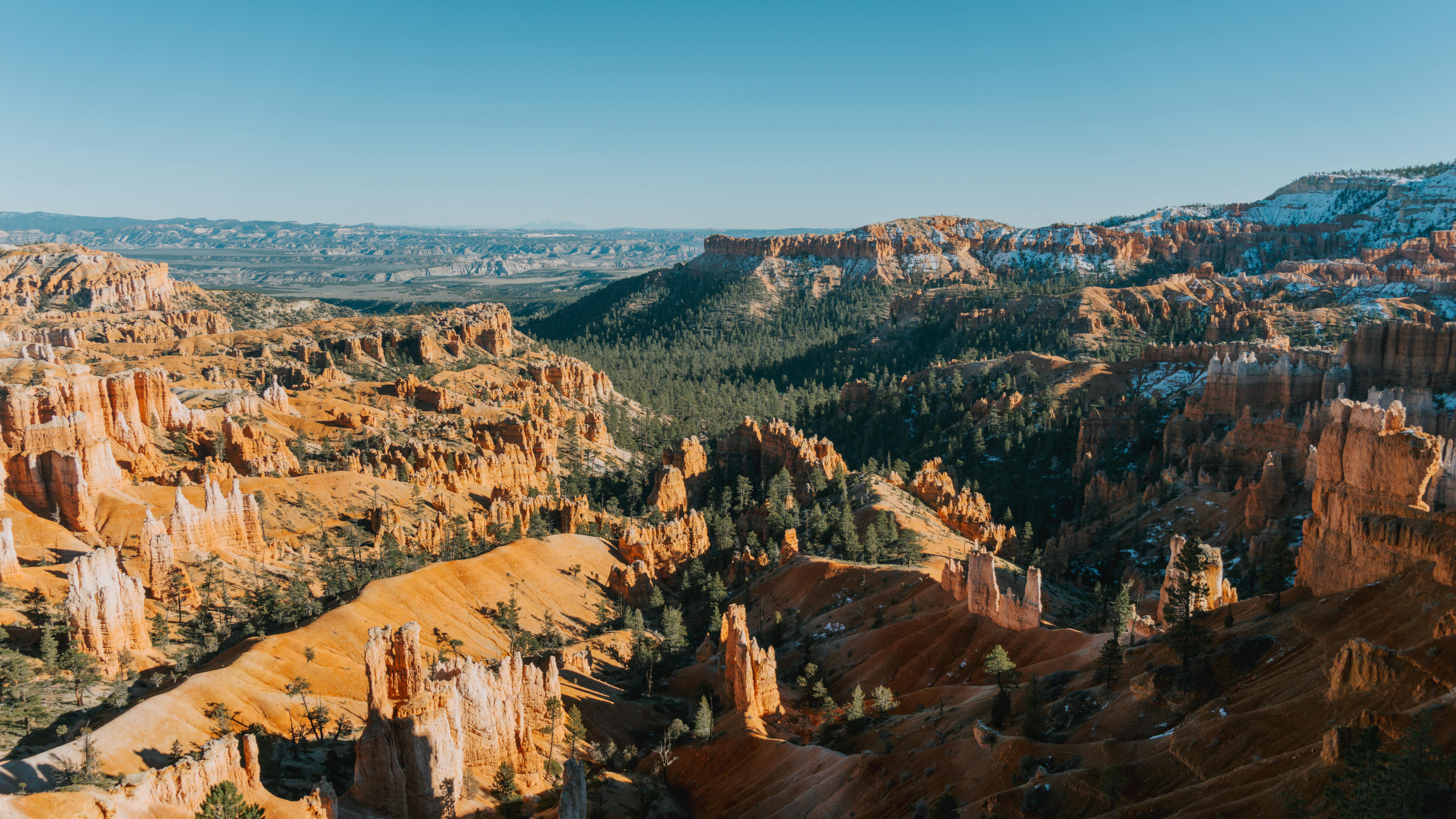 2026 Canyon Lux World Cup CFR Drops In On More Travel, Lower Weight for South Korea WC — Photo by Alex Ning on Pexels