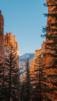 Stunning view of Bryce Canyon's red rock formations and alpine trees at sunrise.