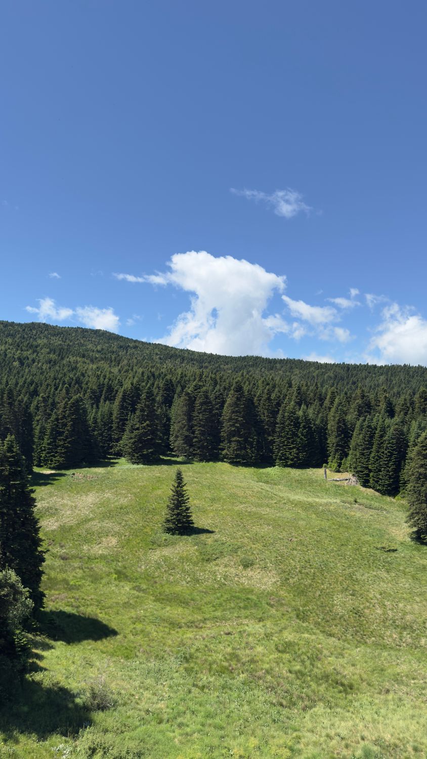 Serene Mountain Landscape with Lush Greenery · Free Stock Photo
