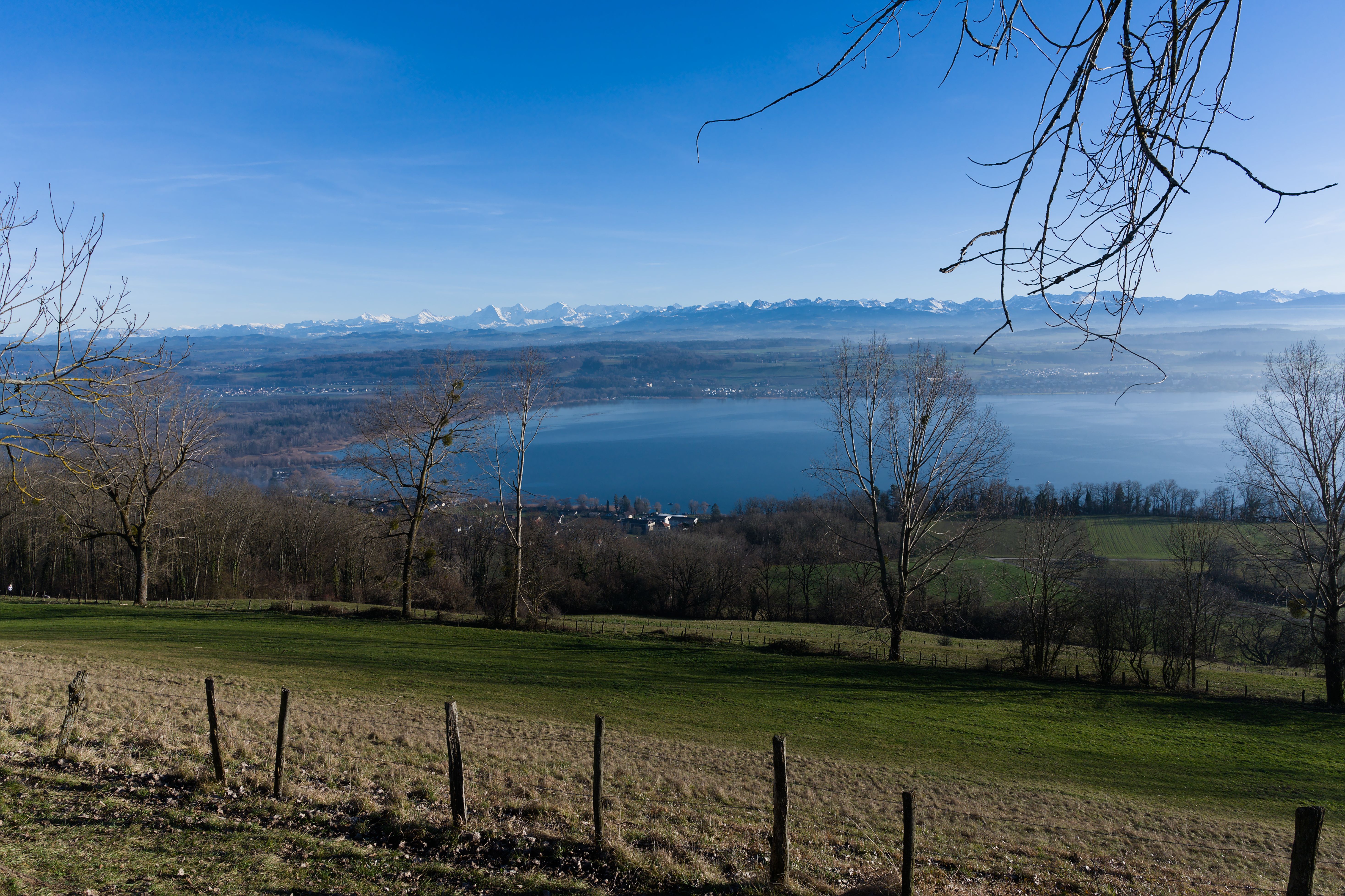 Stunning landscape with a lake and snowcapped mountains, perfect nature escape. - Murten