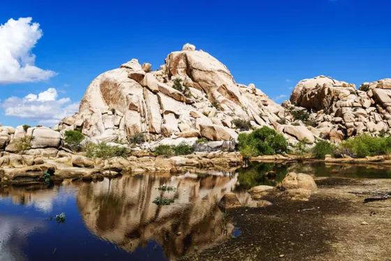 Barker Dam holding water among the boulders, Joshua Tree