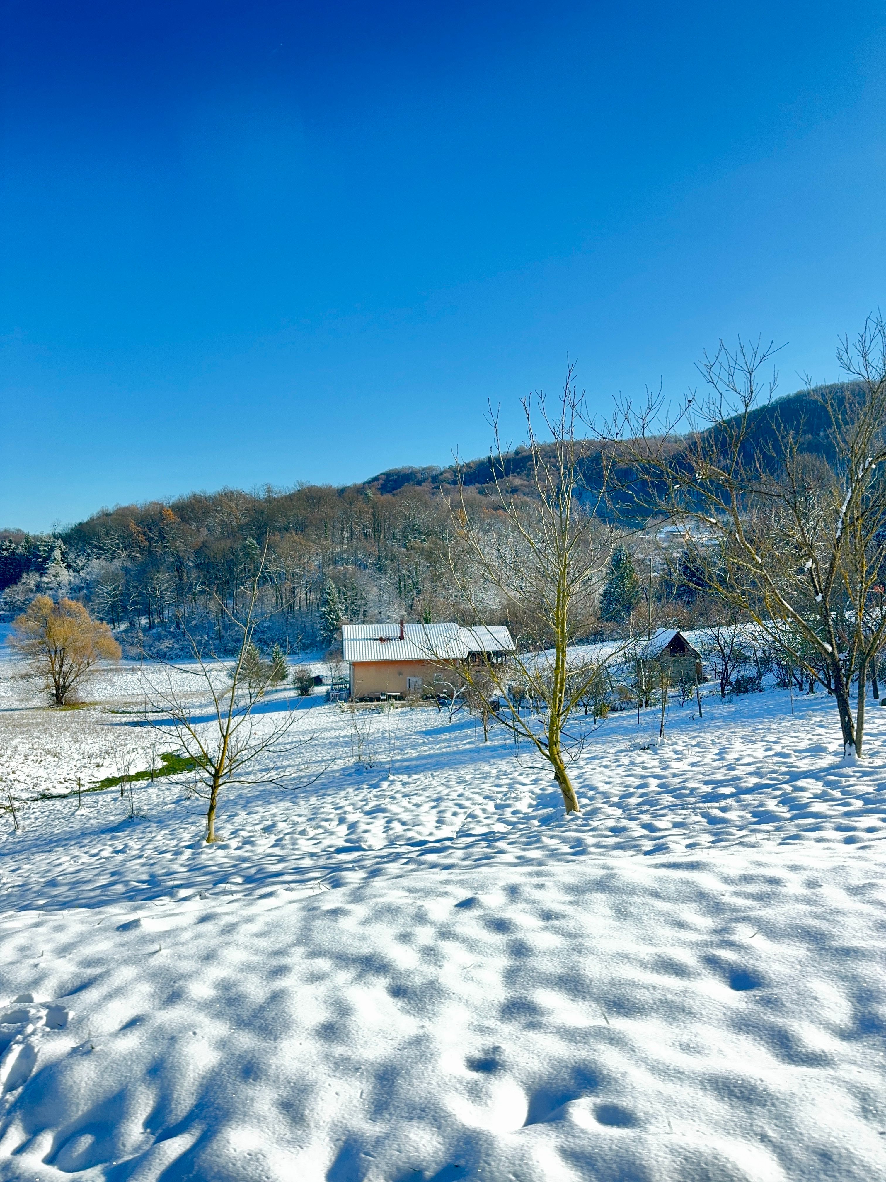 Tranquil Snowy Countryside Landscape in Winter · Free Stock Photo