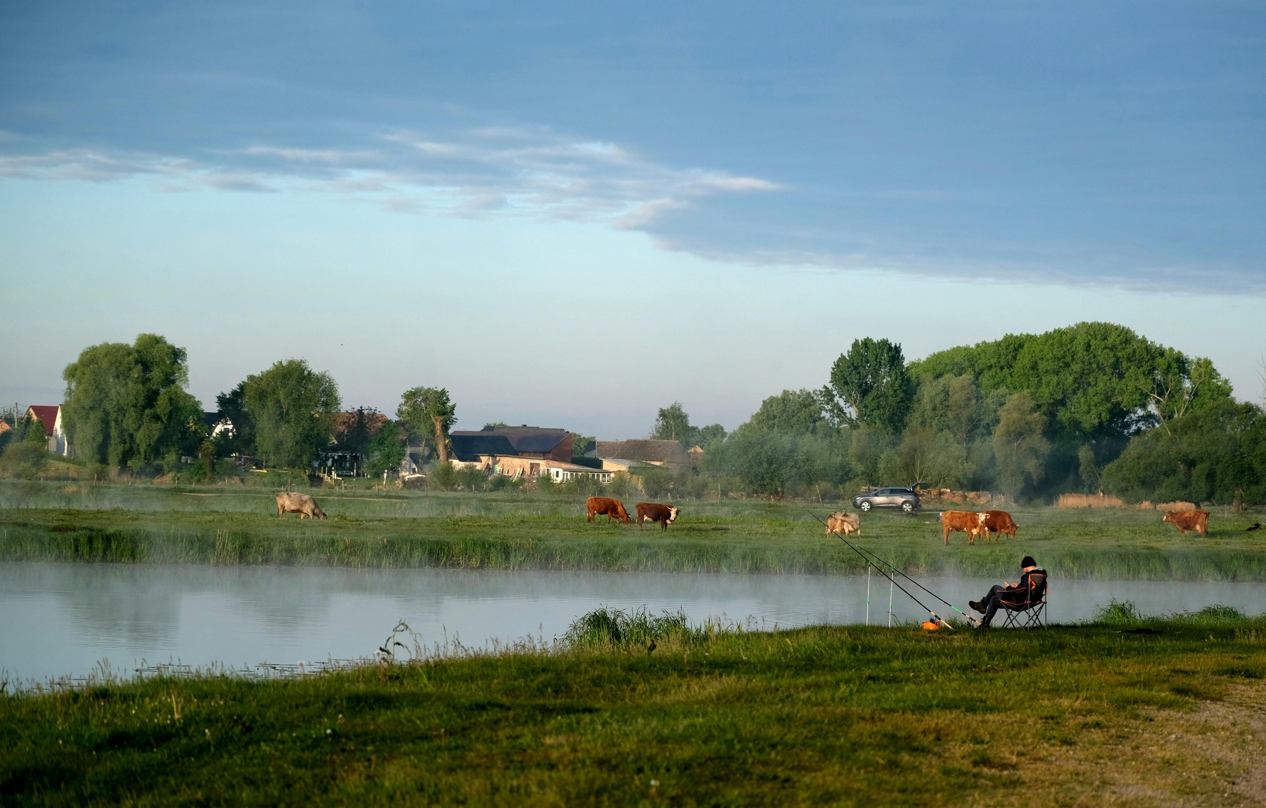 農業危機被政治喧囂掩蓋，真相逐漸淡出視野