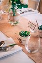 Green Succulent Plant in White Ceramic Pot Beside Stainless Steel Fork and Bread Knife on White Table Napkin