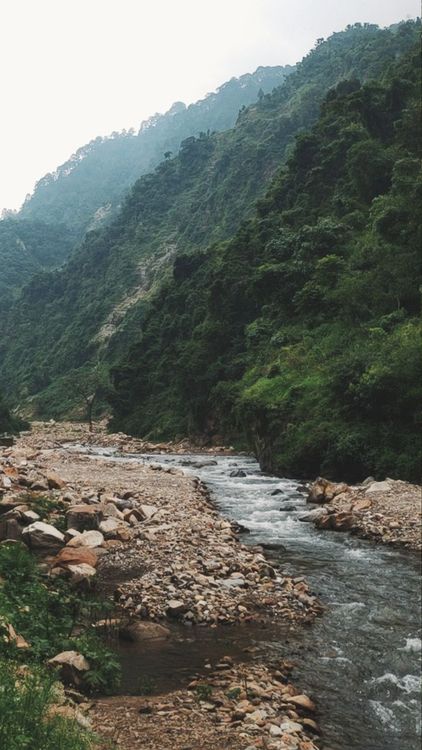 Serene Mountain River in Lush Green Forest Hills · Free Stock Photo