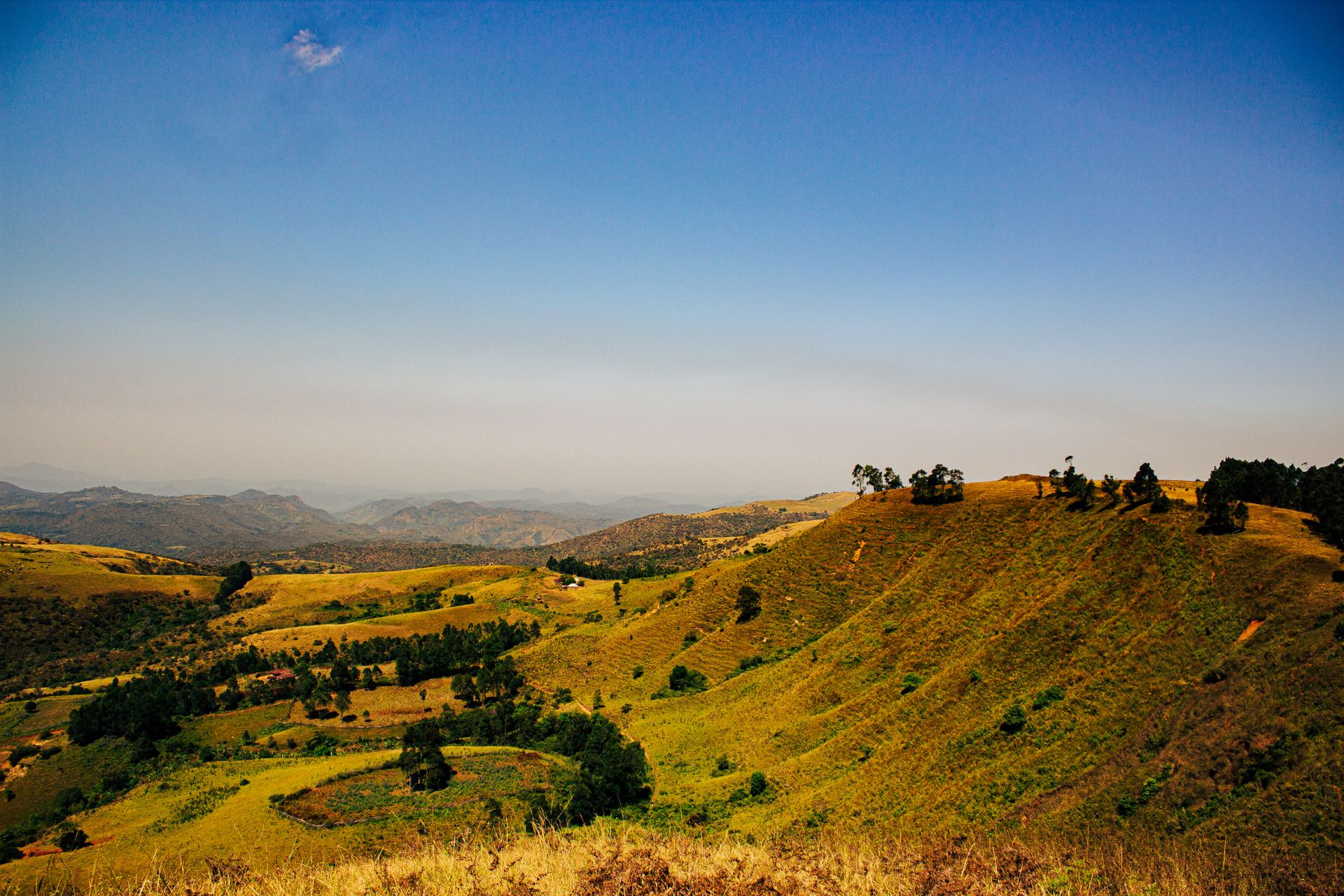 Un paysage de savane et de montagnes dans le nord-est du Nigeria par un matin nuageux.