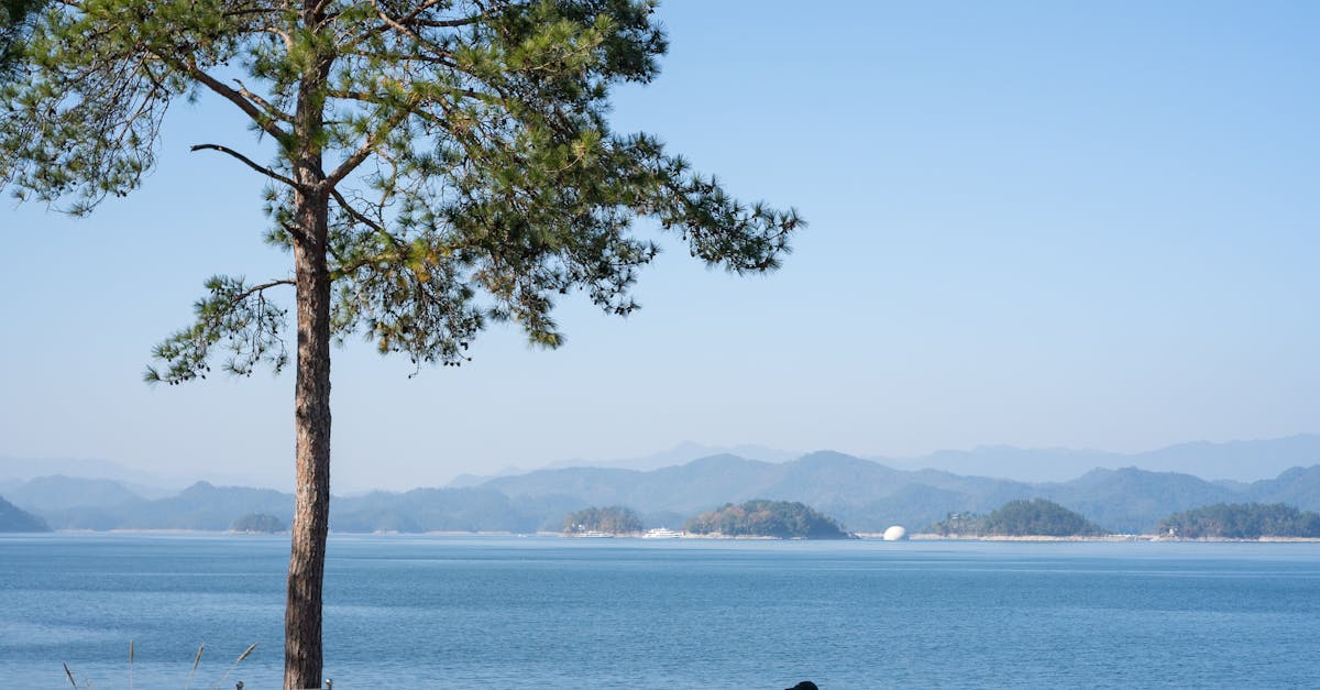 善良一點一點,公益彩券的力量!✨