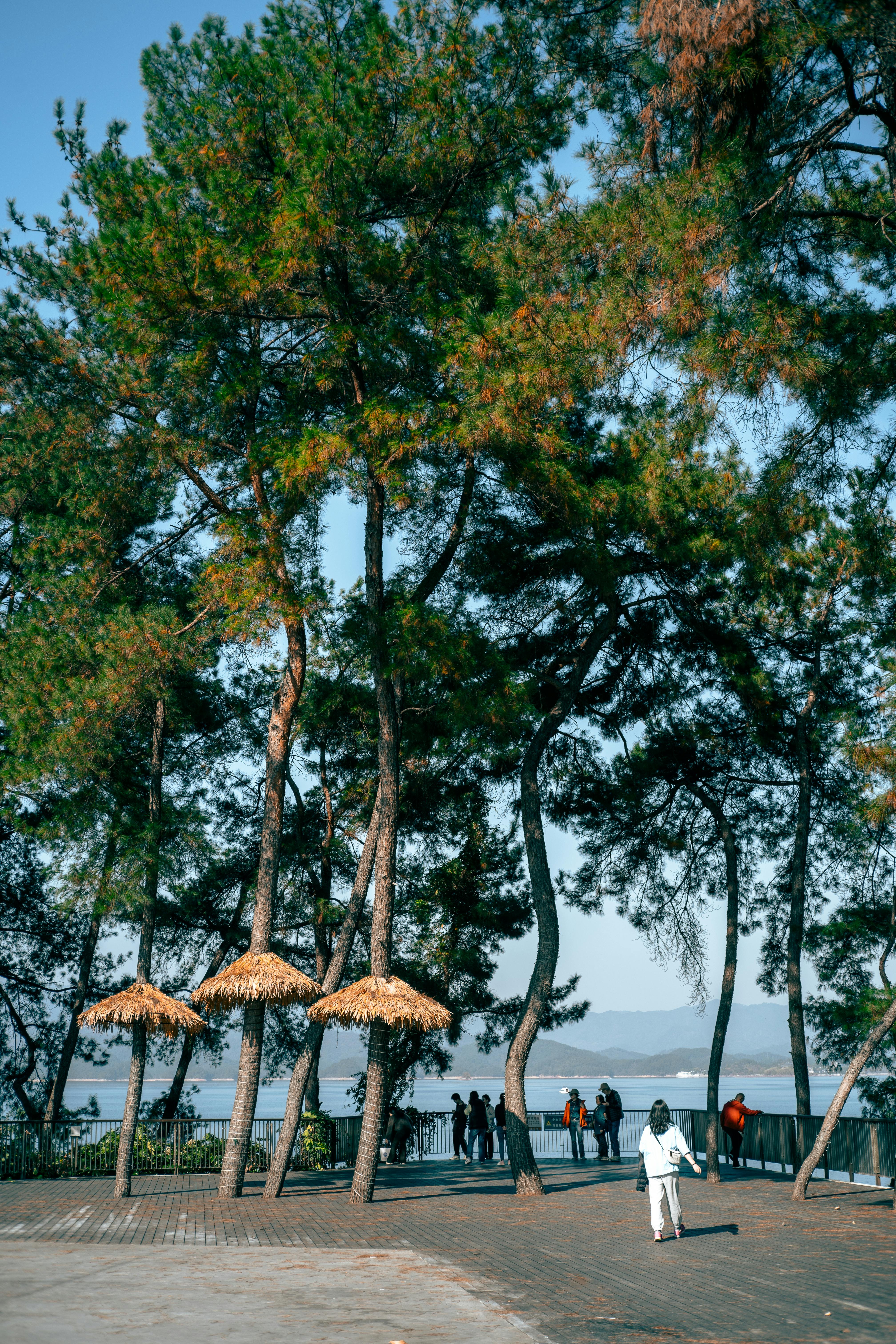 善良一點一點，公益彩券的力量！✨