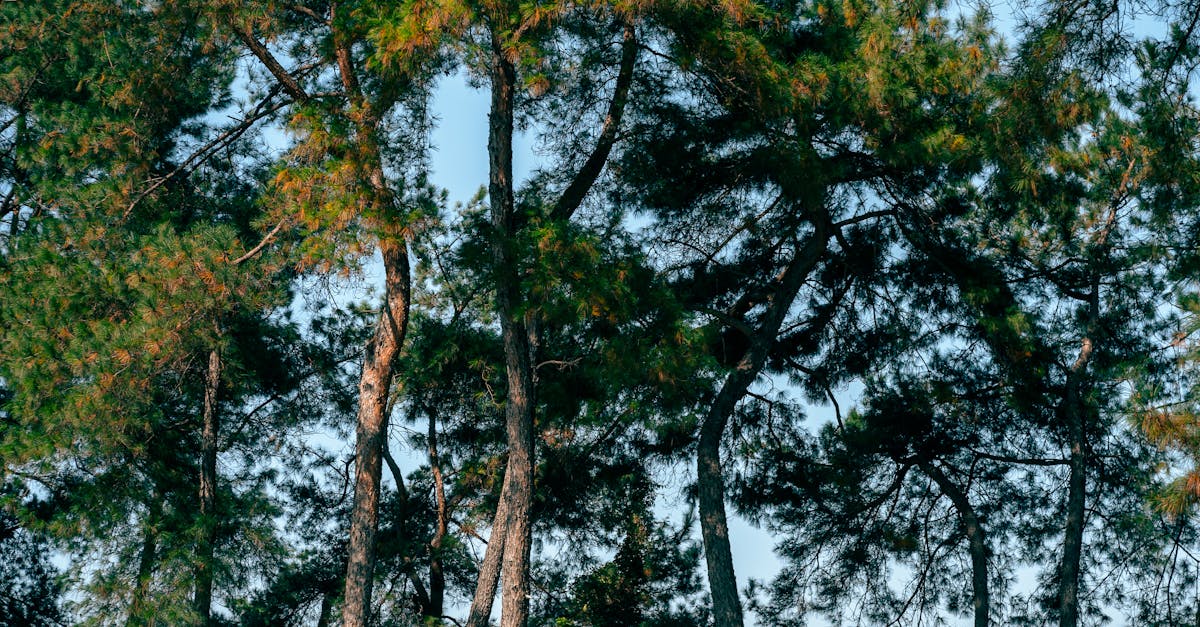 善良一點一點,公益彩券的力量!✨