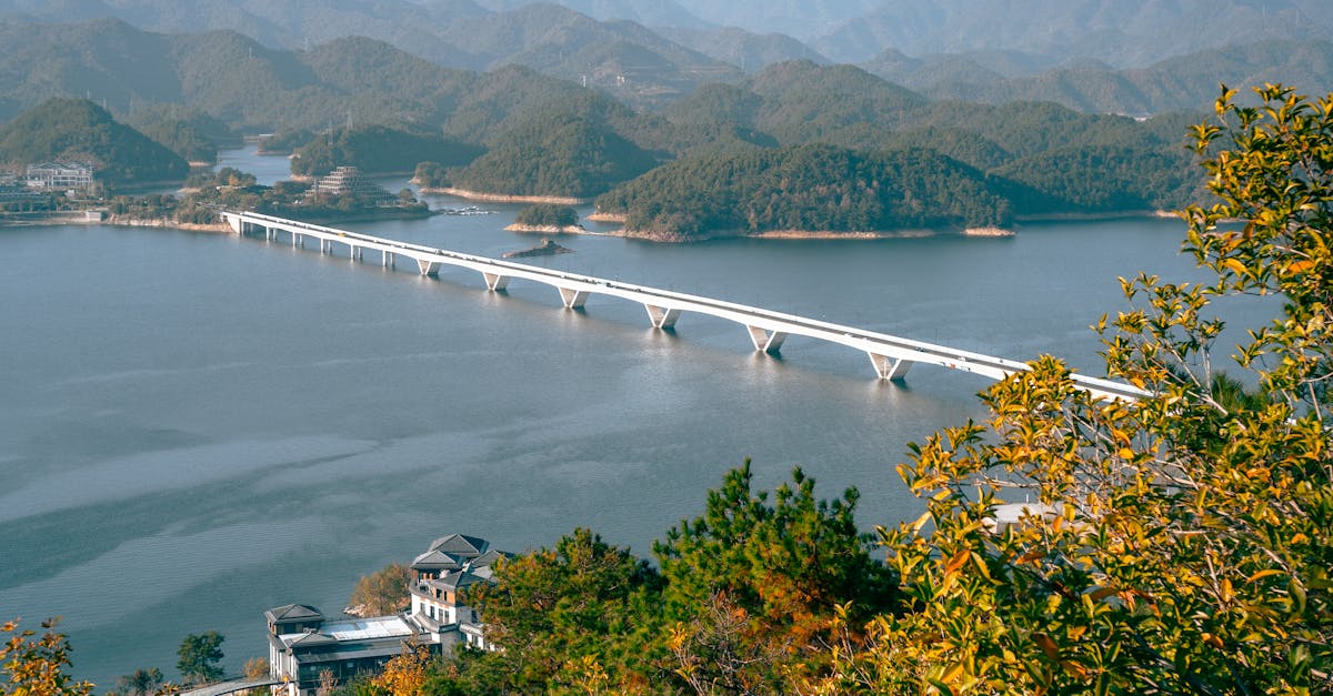 善良一點一點,公益彩券的力量!✨