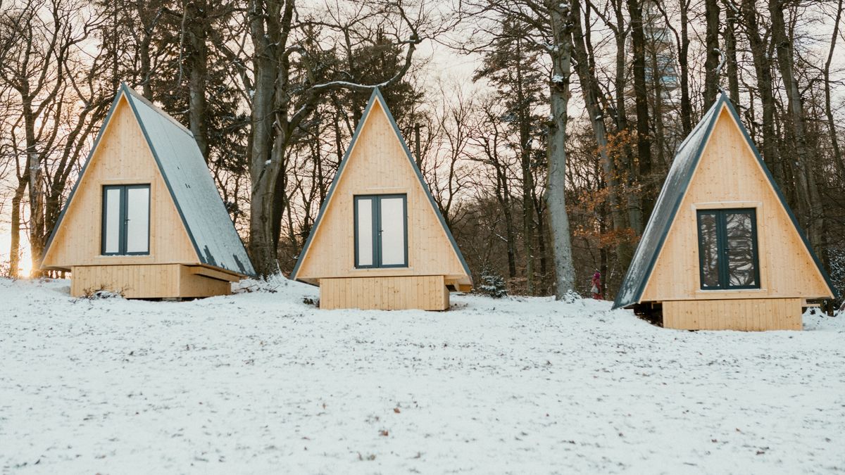 Week-end insolite cabane dans les arbres France - illustration
