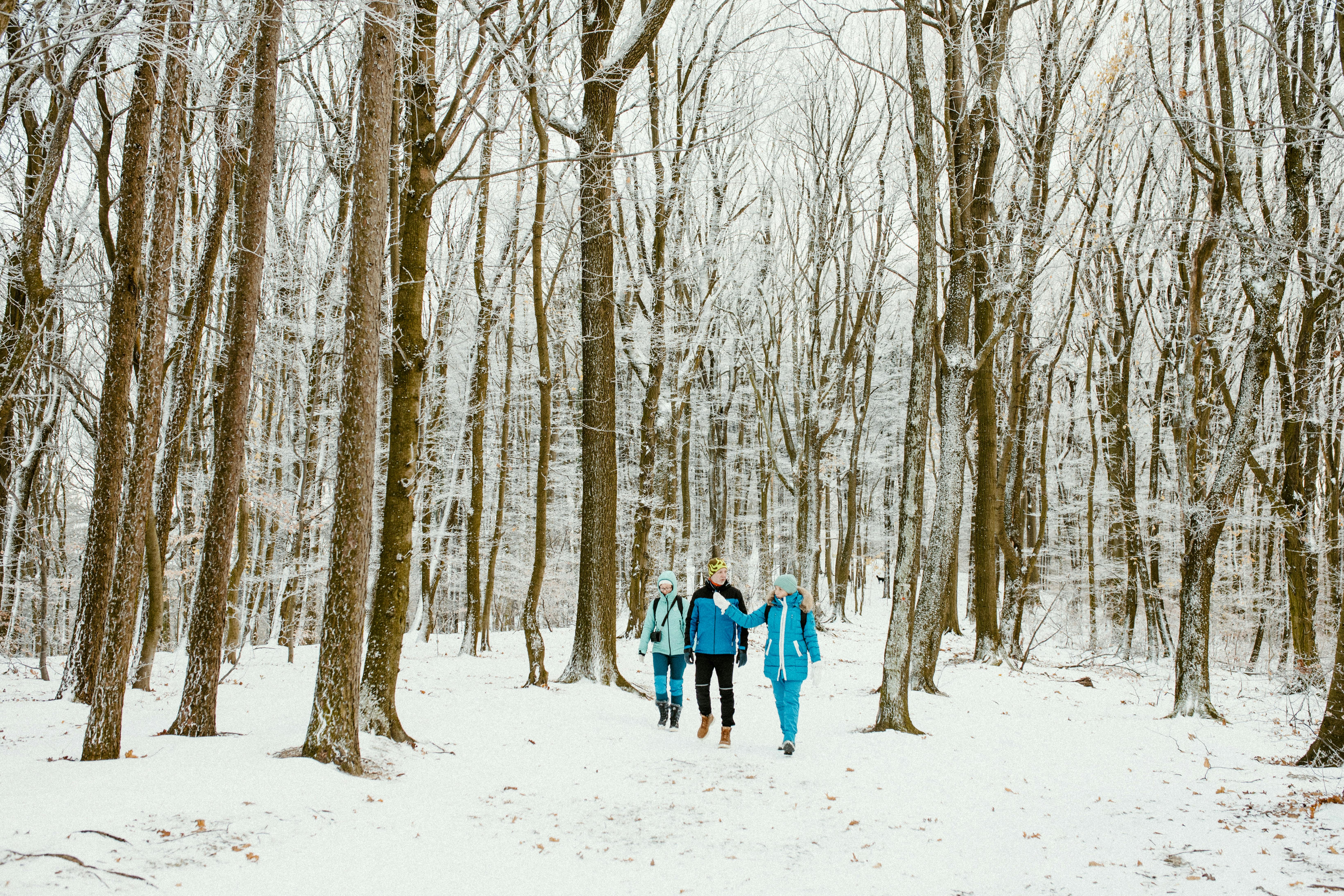  7 day winter fitness challenge