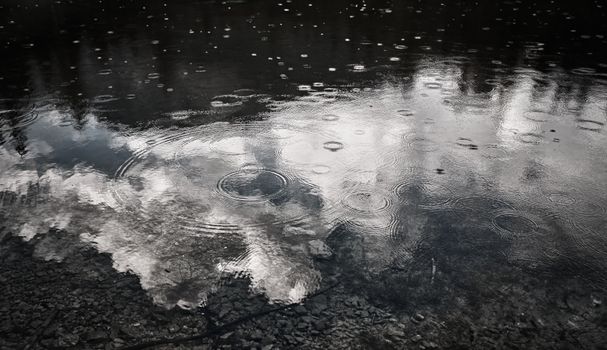 Monochrome image of raindrops creating ripples on a reflective water surface, with cloudy sky reflections.