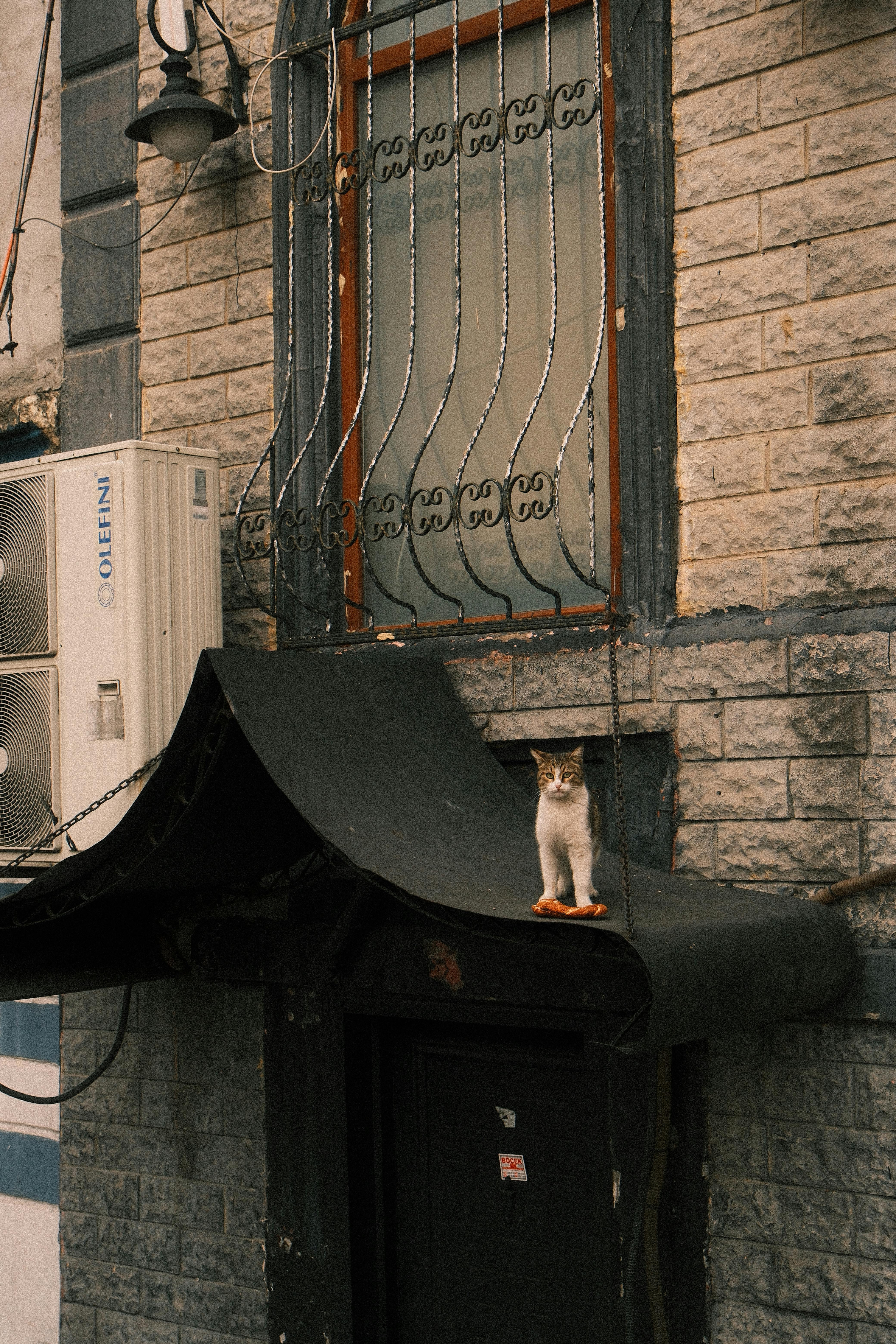 Yeni Bina mı, Tadilatlı Eski Bina mı? Bakırköy'de Hangi Seçenek Daha Avantajlı?