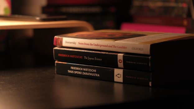 brothers karamazov novel