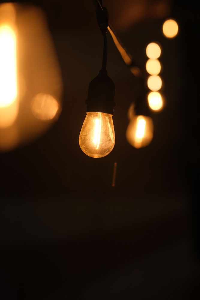 4,000+ Best Bulb Photos · 100% Free Download · Pexels Stock Photos