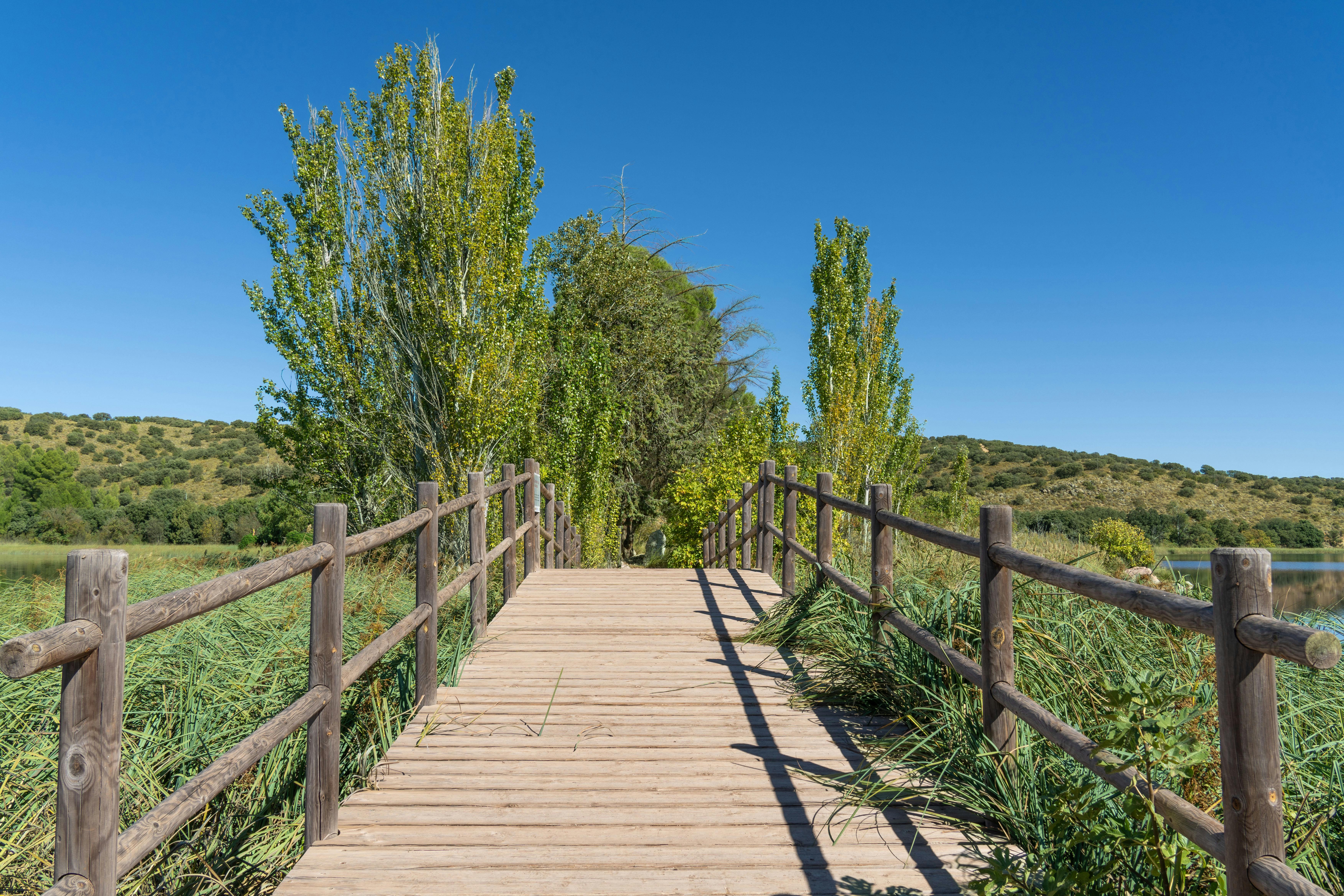 Sustainable Assets and Eco-Friendly Practices: Promoting Environmental Awareness