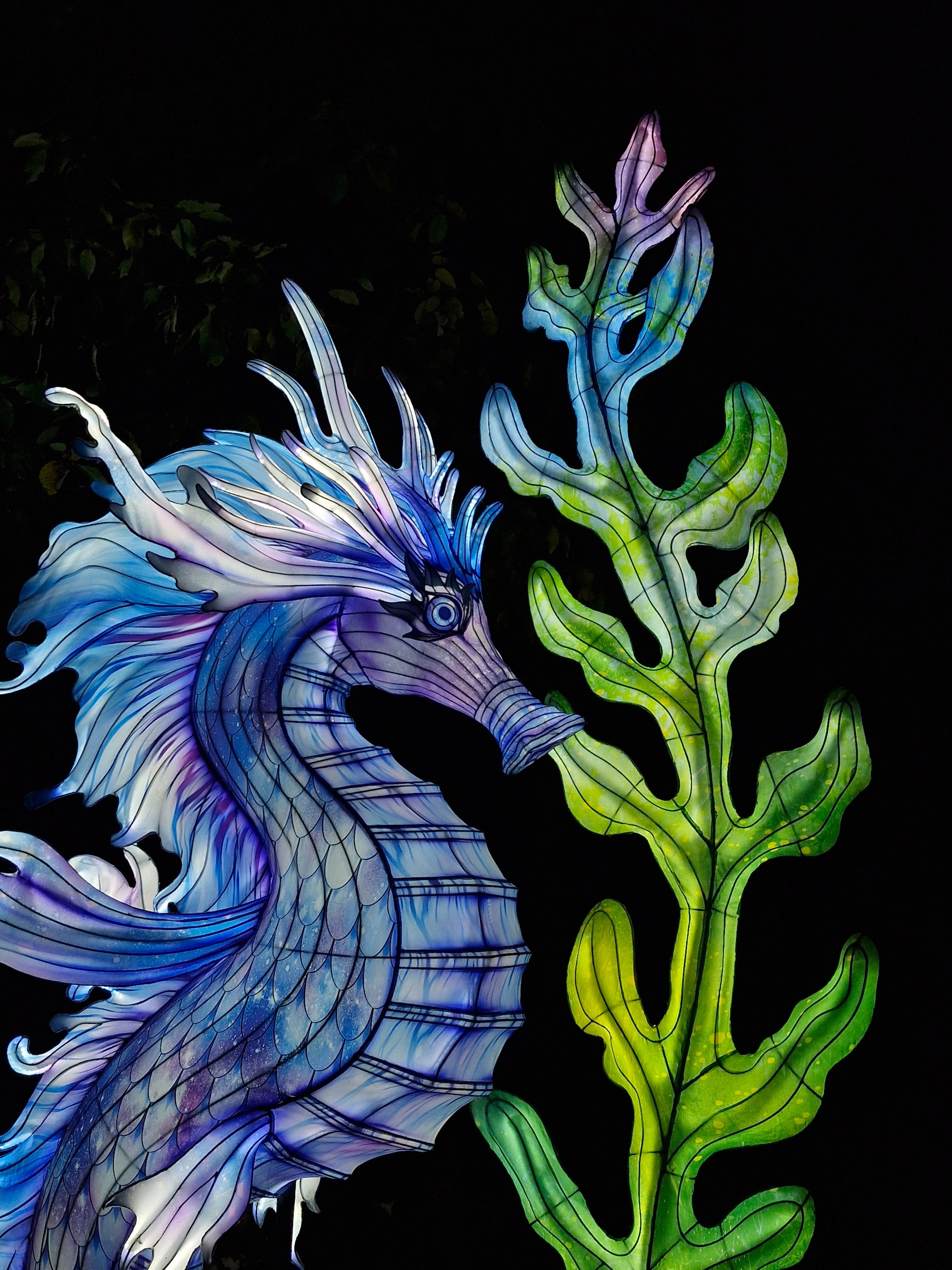 Illustrative seahorse lantern glowing beside detailed seaweed, vivid and artistic.