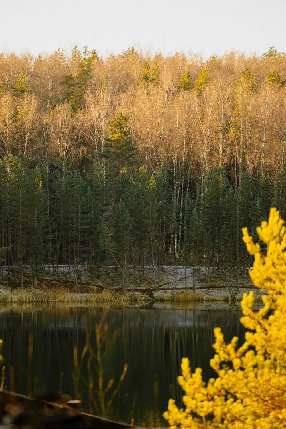Serene Autumn Forest Reflection Landscape · Free Stock Photo