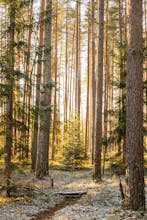 Ruh Halini İyileştiren Doğa Yürüyüşleri Ruh Halini İyileştiren Doğa Yürüyüşleri