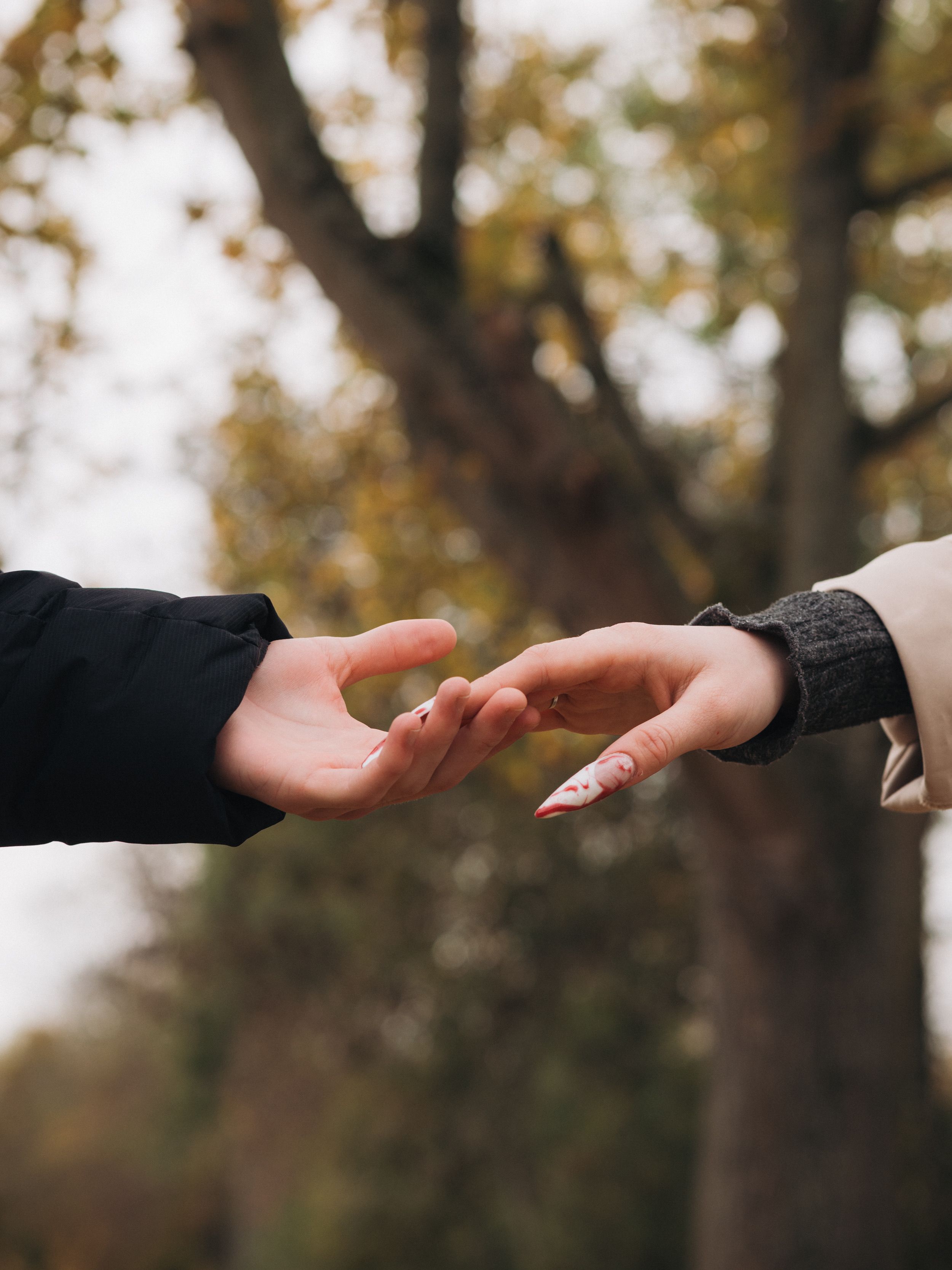 Two Hands Reaching in Autumn Park · Free Stock Photo
