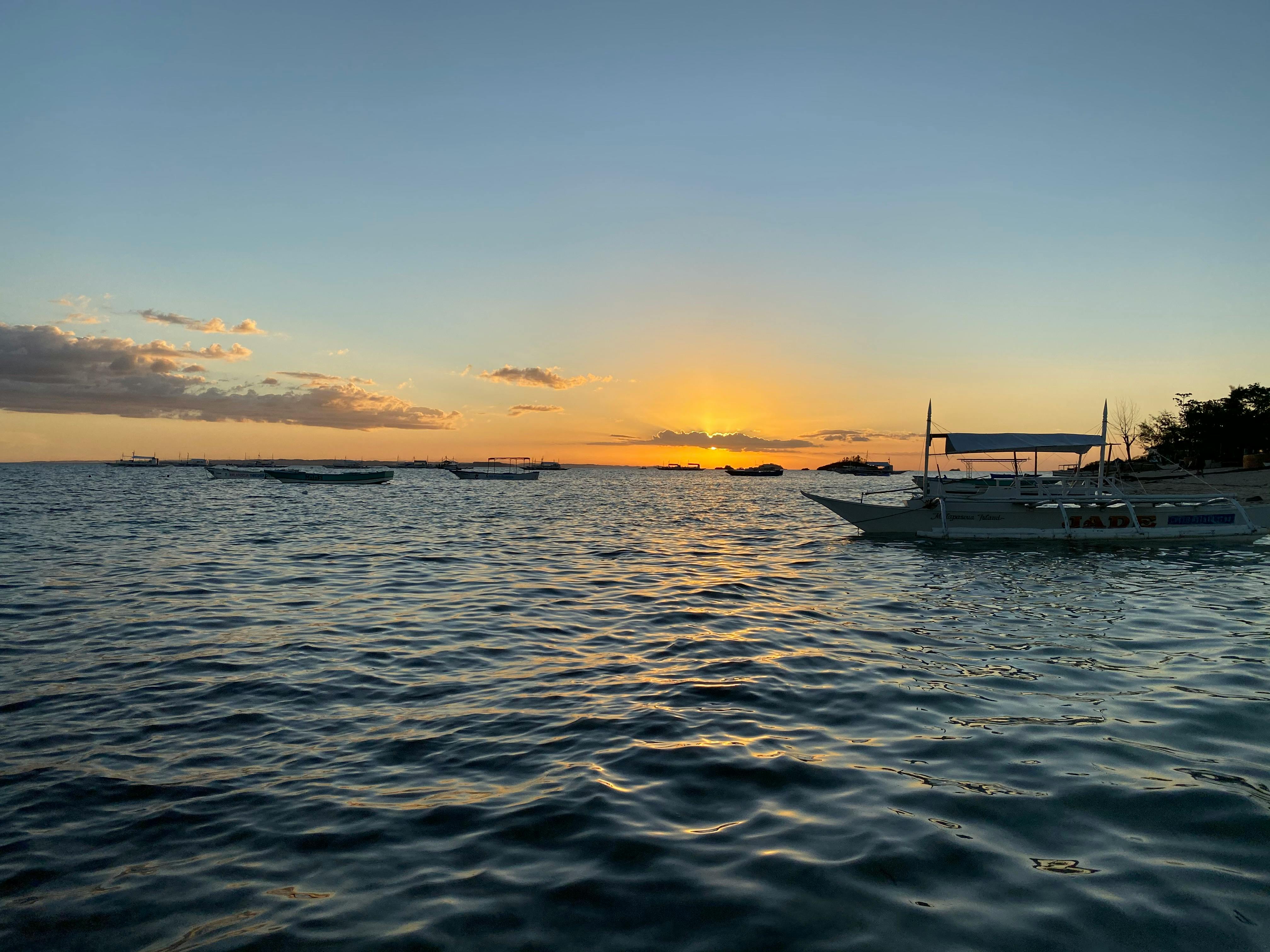 pexels-photo-3492570.jpeg?auto\u003dcompress\u0026cs\u003dtinysrgb\u0026w\u003d600