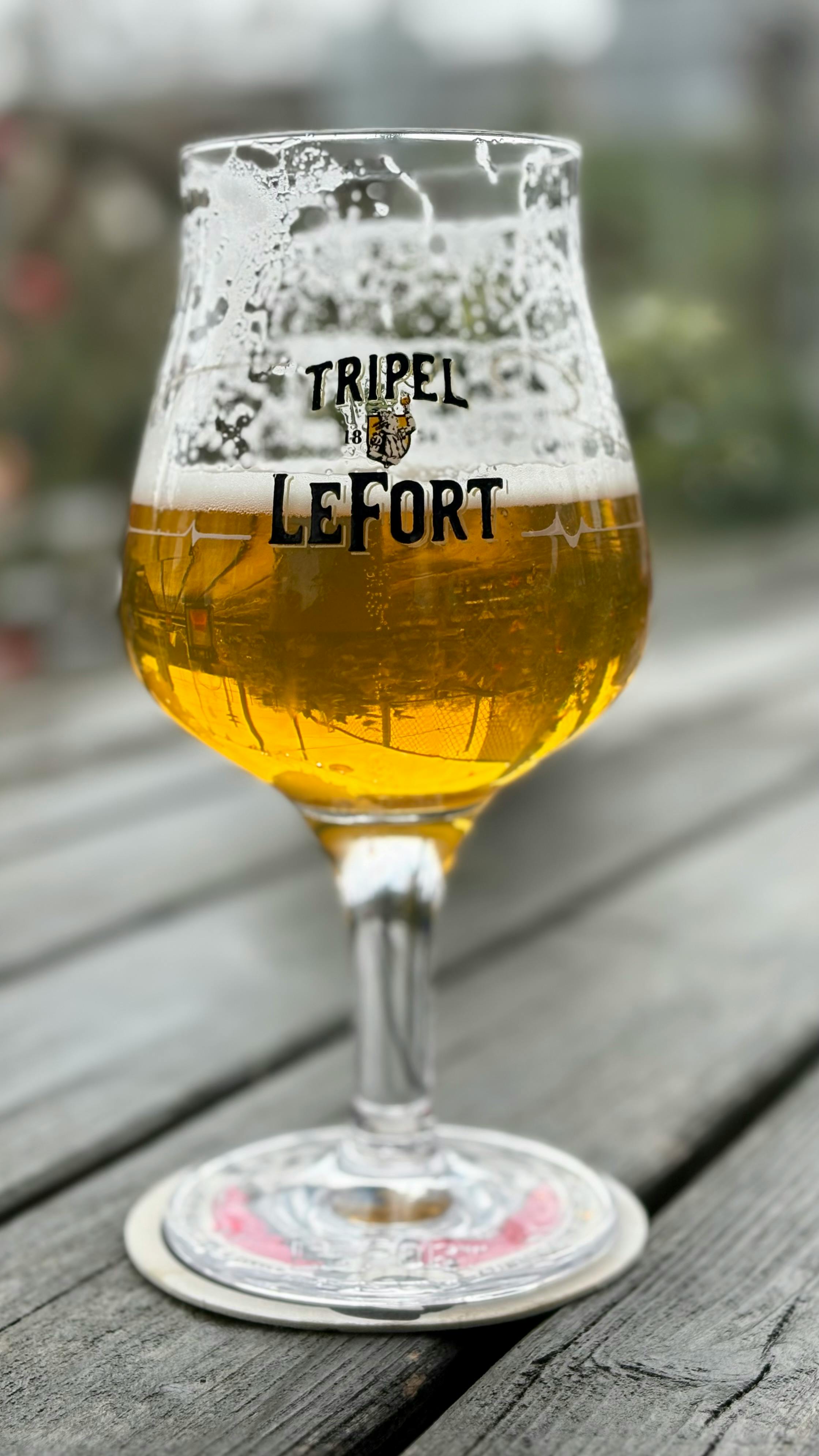 Belgian beer gastronomic tour